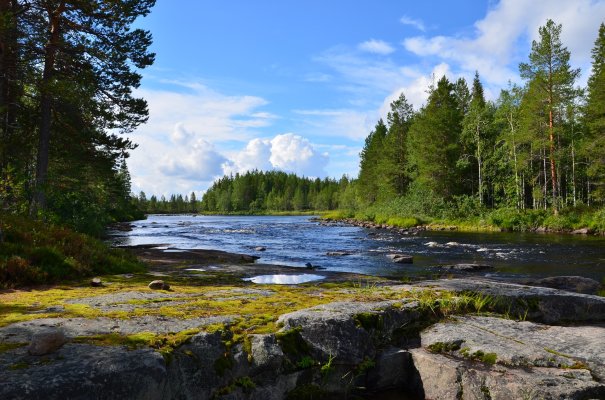Schungitreiche Region Karelien - Schungit Natur